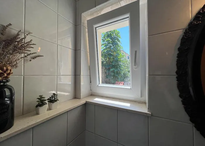 Beppo 포드스트라나